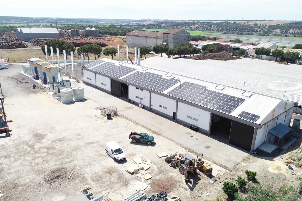 FOTO-7-PINHA-E-PINHOES