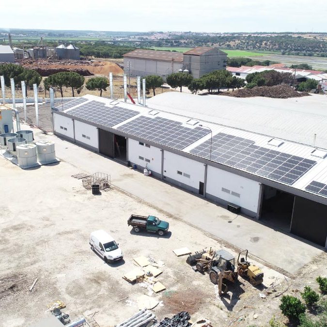 FOTO-7-PINHA-E-PINHOES